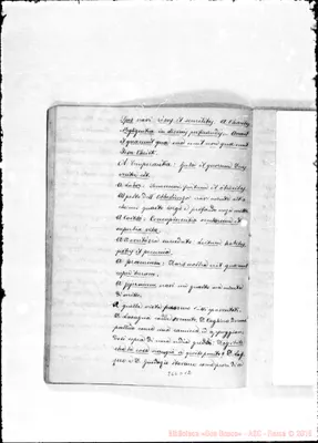 Fotogramma D 12