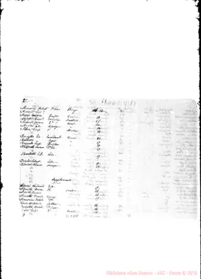 Fotogramma E 11