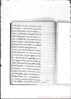 Fotogramma C 1