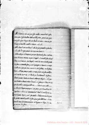 Fotogramma C 5