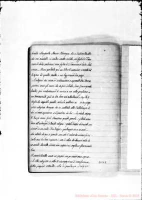 Fotogramma C 7