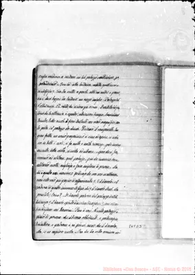 Fotogramma D 3