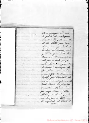 Fotogramma C 6