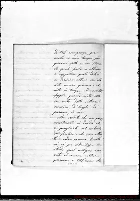 Fotogramma C 11