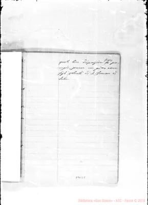 Fotogramma E 8