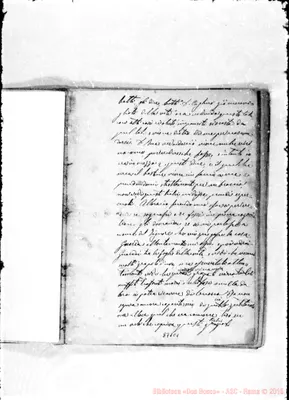 Fotogramma C 1