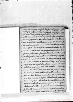 Fotogramma B 8