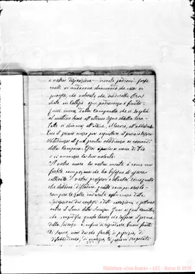 Fotogramma C 8