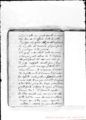Fotogramma C 11