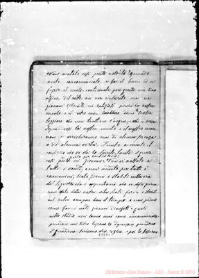 Fotogramma D 5