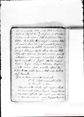 Fotogramma D 11