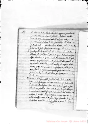 Fotogramma B 11