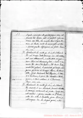 Fotogramma D 11