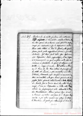 Fotogramma D 11