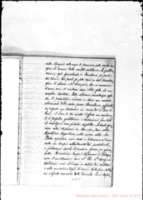 Fotogramma E 8