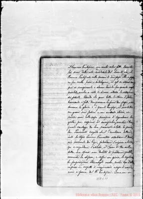 Fotogramma C 11