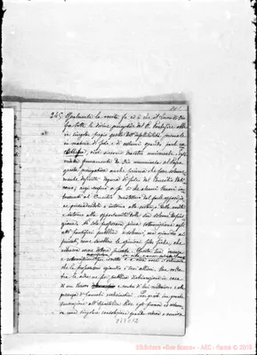 Fotogramma C 12