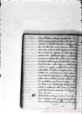 Fotogramma D 3