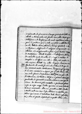 Fotogramma C 2