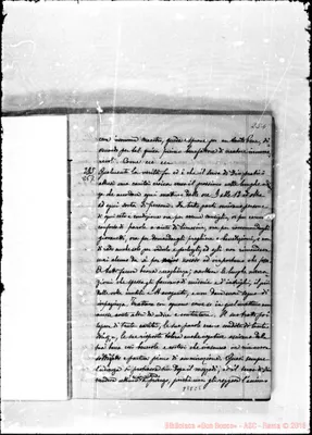 Fotogramma C 5