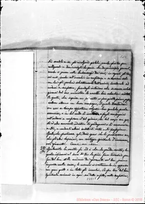 Fotogramma C 7