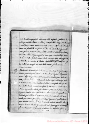 Fotogramma C 10