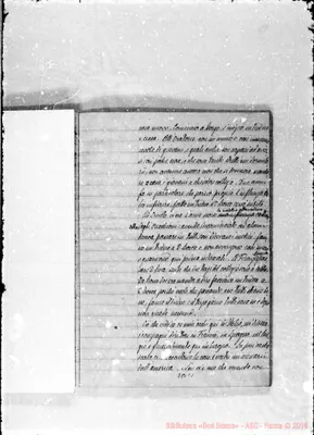 Fotogramma C 1