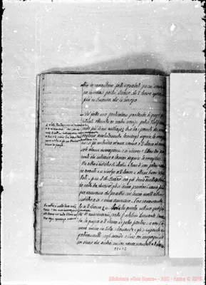 Fotogramma C 2