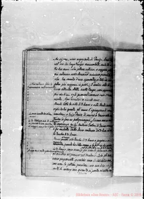 Fotogramma C 4