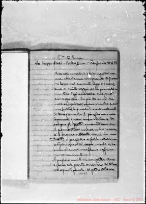 Fotogramma D 3