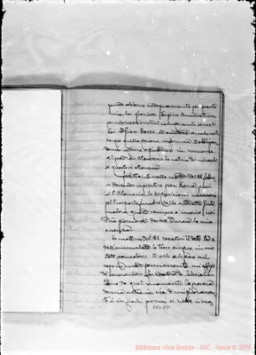 Fotogramma D 11