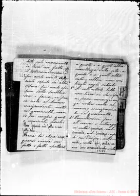 Fotogramma D 6