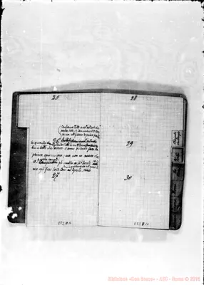 Fotogramma D 10