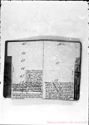 Fotogramma D 11