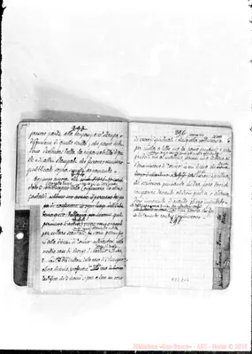 Fotogramma E 12