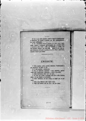 Fotogramma D 3