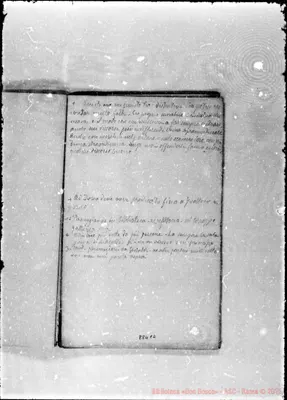 Fotogramma C 2