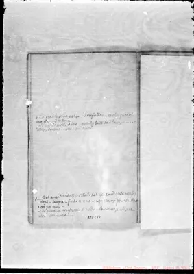 Fotogramma C 10