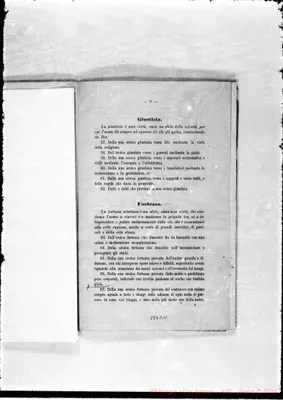 Fotogramma C 11