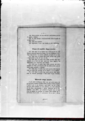 Fotogramma D 9