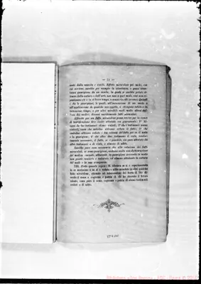 Fotogramma D 11