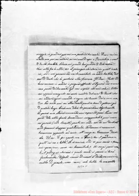 Fotogramma C 11