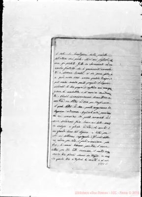 Fotogramma C 11
