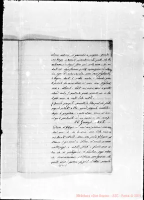 Fotogramma E 8