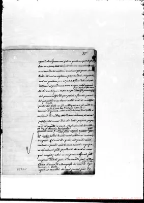 Fotogramma D 11
