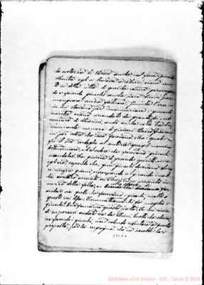 Fotogramma C 6