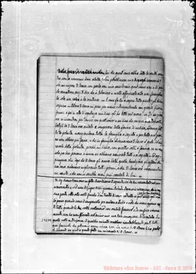 Fotogramma D 9