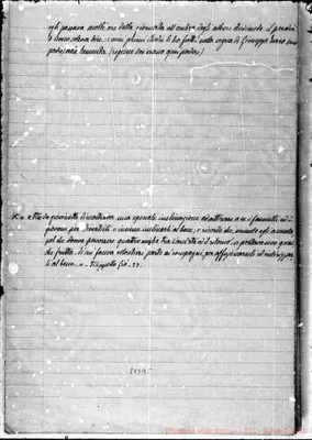 Fotogramma B 5