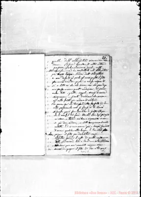 Fotogramma C 7