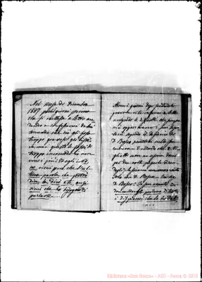 Fotogramma D 4